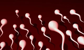 Ảnh minh hoạ: Internet