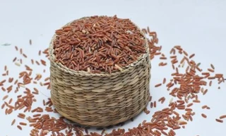 Ảnh minh hoạ: Internet