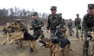 Triều Tiên sẽ rút công nhân, đóng KCN liên Triều