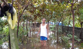 Chủ đầu tư dự án giao thông làm vỡ đường thoát nước của dân tại Ninh Bình nói gì?