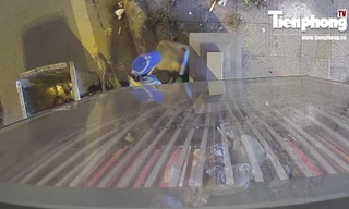 Lộ nguyên nhân nhân viên công ty môi trường lật úp nhiều thùng rác hiện đại