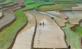 Mê mẩn những thửa ruộng như gương trời in bóng mây bay ở Bắc Hà