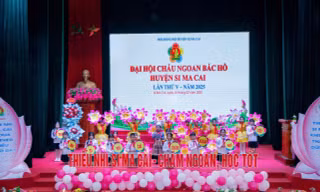 Lào Cai tổ chức Đại hội Cháu ngoan Bác Hồ, tuyên dương những "bông hoa" chăm ngoan, học tốt