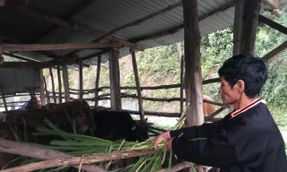 Gặp tỷ phú của người La Hủ ở Mường Tè