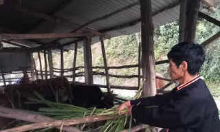 Gặp tỷ phú của người La Hủ ở Mường Tè