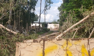 Thâm nhập đường dây tái chế dầu thải: Chấm dứt hoạt động cơ sở nhức nhối ở Củ Chi, TP HCM