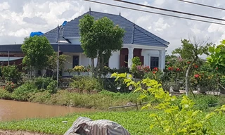 Lập đoàn kiểm tra tình trạng nhà vườn mọc tràn lan trên đất nông nghiệp ở Thái Bình