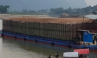 Vụ thu giữ hồ sơ hoàn thuế ở Ninh Bình: Phạt, tịch thu gần 2,8 tỷ đồng, điều tra tiếp dấu hiệu trốn thuế