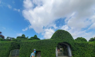 Độc đáo ngôi đình bao quanh bằng ruối cổ, thờ nữ tình báo đầu tiên của chính sử Việt Nam