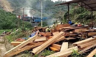 Vụ phá 2,8 héc ta rừng tự nhiên tại Bắc Kạn: Khởi tố vụ án, 20 đối tượng bị điều tra