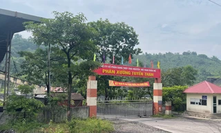 Hơn một trăm tấn than của Công ty Gang thép Thái Nguyên bị tuồn ra ngoài 