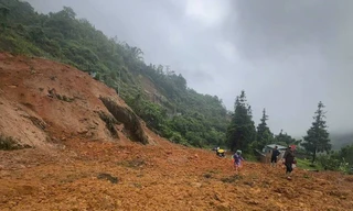 Mưa lớn gây sạt lở trên Quốc lộ 4D, đường lên Sa Pa bị chia cắt 