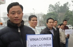 Toàn bộ lao động Việt Nam ở Libya đã về nước