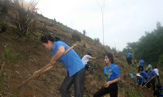 ĐVTN phủ xanh đất trống, đồi núi trọc tại Bắc Kạn. Ảnh: H.Y