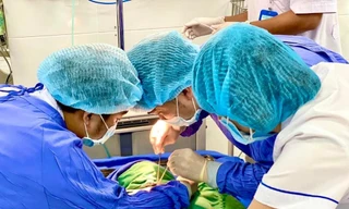 Người đàn ông Hoà Bình nguy kịch vì dằm gỗ nhỏ đâm vào đuôi lông mày