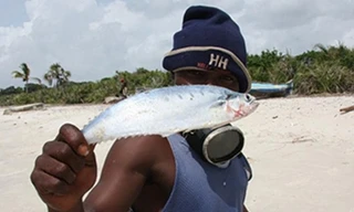 Chết vì cá mắc kẹt trong cổ họng