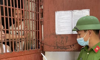 Người bị tạm giam, tạm giữ bỏ phiếu bầu cử thế nào?