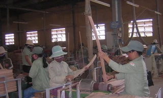 Liên doanh tư nhân và Nhà nước trong sản xuất lâm sản