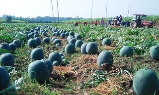 Đạ Tẻh lọt top đầu giảm nghèo bền vững ở Lâm Đồng 