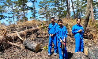 Điều tra vụ phá rừng, phát hiện 99 lóng gỗ lậu trong xưởng mộc 