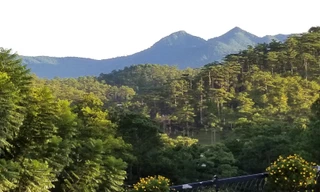 Không mở rộng không gian đô thị TP Đà Lạt trước năm 2026 