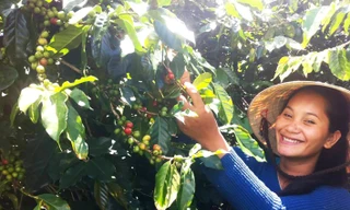 Lâm Đồng: Giảm nghèo bền vững ở nơi có tỷ lệ người dân tộc thiểu số cao nhất 