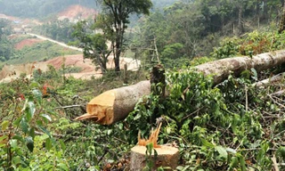 Đề nghị xem xét kỷ luật nguyên lãnh đạo Thành ủy, UBND thành phố Bảo Lộc