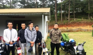 Bắt nhóm lâm tặc tàn phá rừng phòng hộ ở Đà Lạt