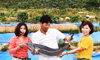 Hỗ trợ toàn diện cho người nghèo ở xã vùng sâu Đạ Tông