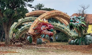 Bị phạt gần 100 triệu đồng vì mang linh vật rồng từ đường hoa Nguyễn Huệ lên lắp đặt ở Đà Lạt