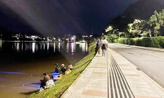 Đề xuất mở rộng tuyến đường đẹp nhất Đà Lạt 