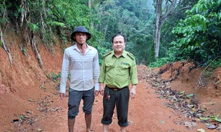 Có hay không chuyện hổ xuất hiện trên rẫy cà phê ở Lâm Đồng?