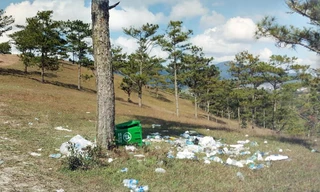 Xả rác vô tội vạ trên đồi thông, điểm ‘săn mây’ Đà Lạt