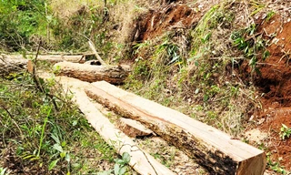 Truy bắt lâm tặc mang theo súng bỏ trốn