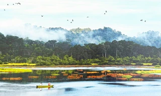 Vườn quốc gia Cát Tiên đang ở bước gần nhất để đạt danh hiệu Danh lục Xanh