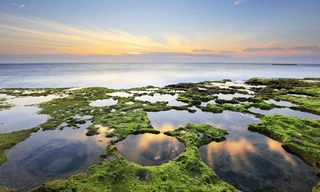 Ngỡ ngàng thảm rêu ở cung đường biển đẹp bậc nhất Việt Nam 