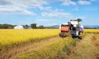 Lâm Đồng đề xuất sáp nhập ba huyện thành một