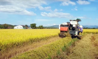 Lâm Đồng đề xuất sáp nhập ba huyện thành một