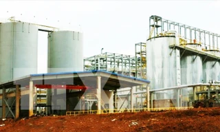 Cấp phép thăm dò quặng bô xít ảnh hưởng hơn 4.000ha rừng, Sở Nông nghiệp Lâm Đồng ý kiến