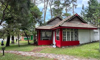 Nữ doanh nhân trúng đấu giá 2 căn nhà trong rừng thông Đà Lạt 