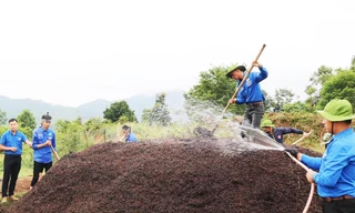 Ổn định cuộc sống của hàng trăm hộ dân vùng sâu Đạ M'Pô 