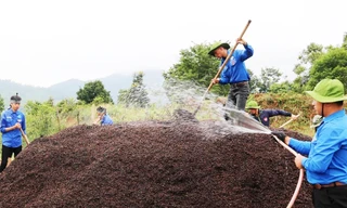 Hỗ trợ sinh kế cho 167 hộ nghèo ở vùng sâu vùng xa Đam Rông