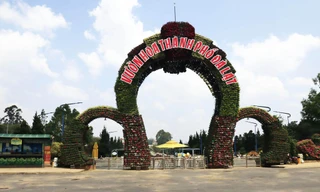 Vườn hoa Đà Lạt vắng tanh