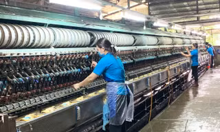 Cây dâu, con tằm giúp người dân vùng khó khăn nhất ở Lâm Đồng thoát nghèo