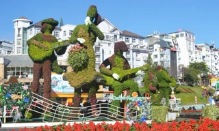 Một Đà Lạt trông khác lạ