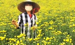 Làng K’Răng Gọ lập kỷ lục về bán hoa Tết