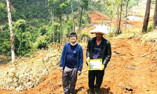Vụ triệt hạ hàng trăm cây rừng, chôn lấp phi tang: Bắt kẻ chủ mưu