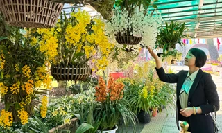 Hội hoa xuân rực rỡ nhất Đà Lạt