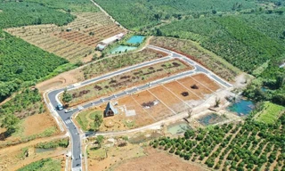 Đồi chè bị băm nát, phân lô 