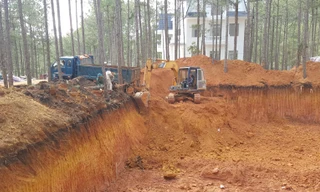 Lâm Đồng ngừng nhận hồ sơ thuê rừng làm du lịch